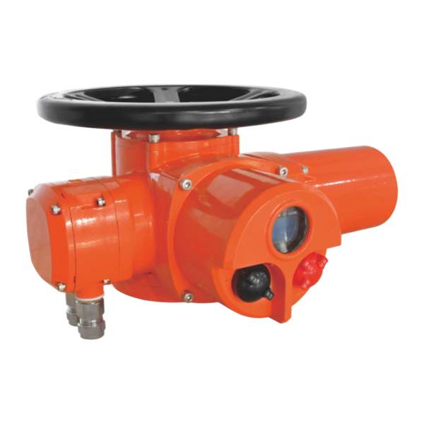 Привод электрический  взрывозащищенный Привод электрический взрывозащищенный