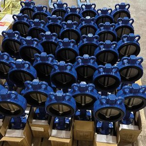 Дисковый затвор: центрированный vs двойной эксцентриситет — отличия