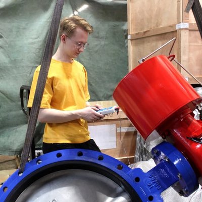 <p>Диск. Рабочий орган, непосредственно перекрываю...