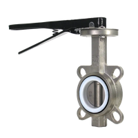 zatvor-diskovyi-mezhflantsevyi-aisi304-dn100-4-pn16-ptfe