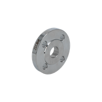 flanets-pl-s-zerkalom-dn-20-rn-16-aisi-304-nk-f204