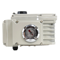 privod-elektricheskii-dc-24v-c-16-seriia-yy