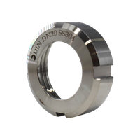 shlitsevaia-gaika-din-dn-20