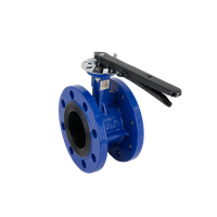 zatvor-diskovyi-flantsevyi-chugunnyi-dn80-3-pn10