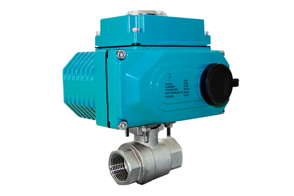 Кран шаровый муфтовый (2PC), AISI304 DN65 (2_1/2"), с электроприводом AC 220V (С-10)