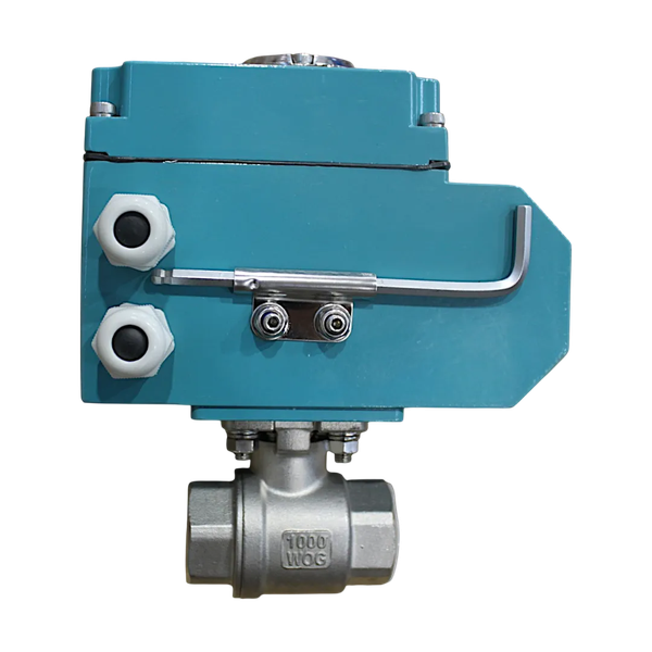 Кран шаровый муфтовый (2PC), AISI304 DN25 (1"), с электроприводом AC 220V (С-03)