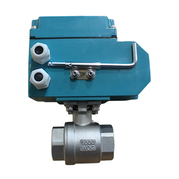 Кран шаровый муфтовый (2PC), AISI304 DN32 (1_1/4"), с электроприводом AC 220V (С-05)