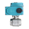 Кран шаровый муфтовый (2PC), AISI304 DN50 (2"), с электроприводом AC 24V (C-05)