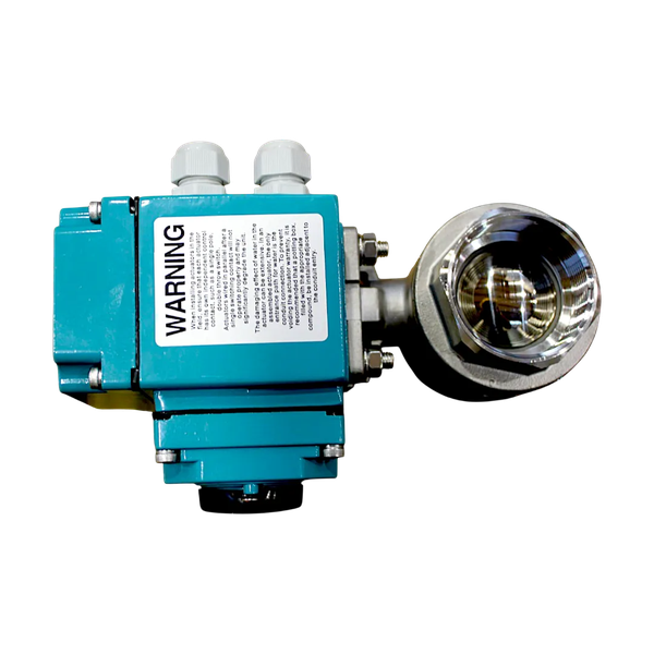 Кран шаровый муфтовый (2PC), AISI304 DN50 (2"), с электроприводом AC 24V (C-05)