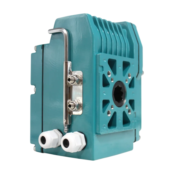 Привод электрический, AC 220V (C-10)