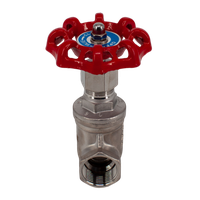 Задвижка клиновая муфтовая нержавеющая, AISI304 DN20 (3/4"), (CF8), PN14