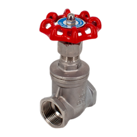 Задвижка клиновая муфтовая нержавеющая, AISI304 DN25 (1"), (CF8), PN14