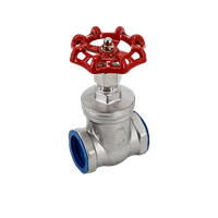 Задвижка клиновая муфтовая нержавеющая, AISI304 DN32 (1_1/4"), (CF8), PN14
