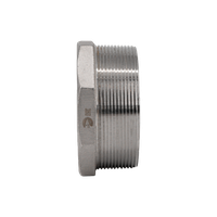 Заглушка Н/Р 6-ти гранная нержавеющая, AISI304 DN 8 (1/4"), (CF8), PN16