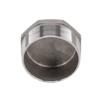 Заглушка Н/Р 6-ти гранная нержавеющая, AISI304 DN 8 (1/4"), (CF8), PN16