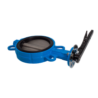 Затвор дисковый межфланцевый чугунный, DN 150 (6"), PN16